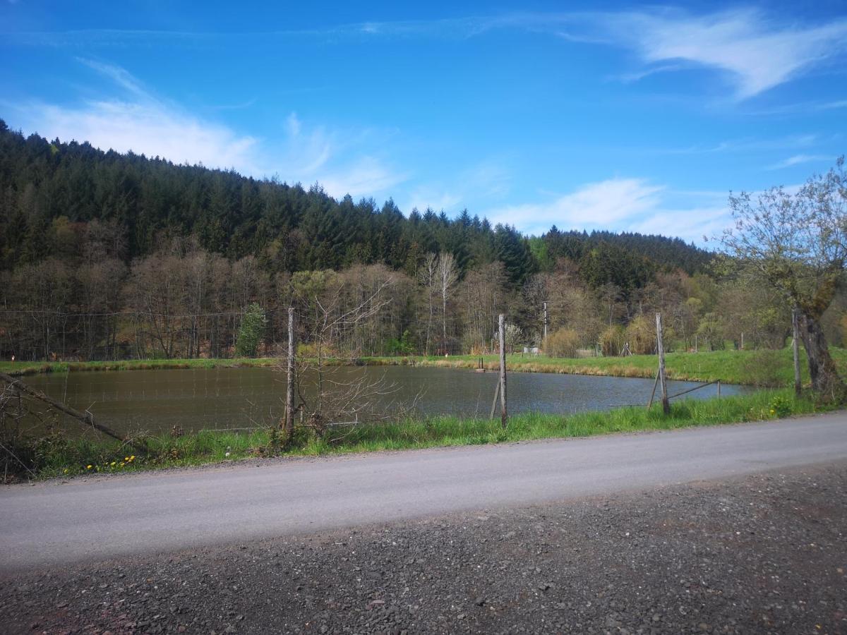 Ferienhaus Salmtal Himmerod Großlittgen Екстериор снимка