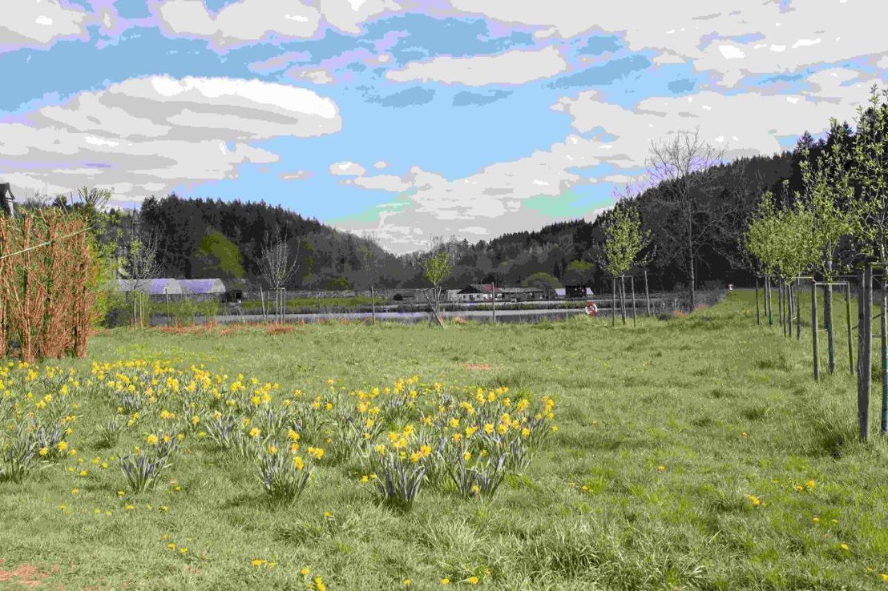 Ferienhaus Salmtal Himmerod Großlittgen Екстериор снимка