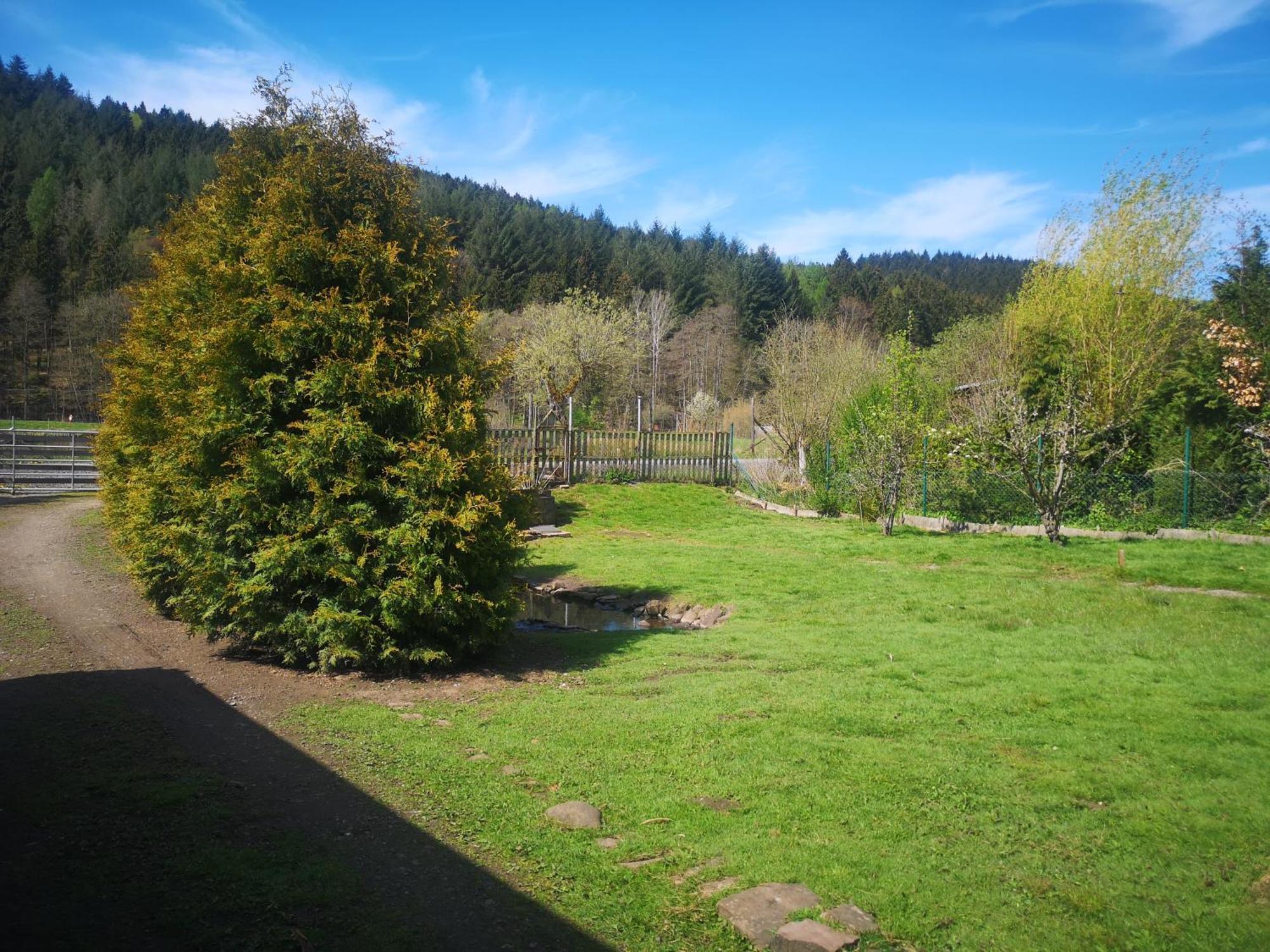 Ferienhaus Salmtal Himmerod Großlittgen Екстериор снимка