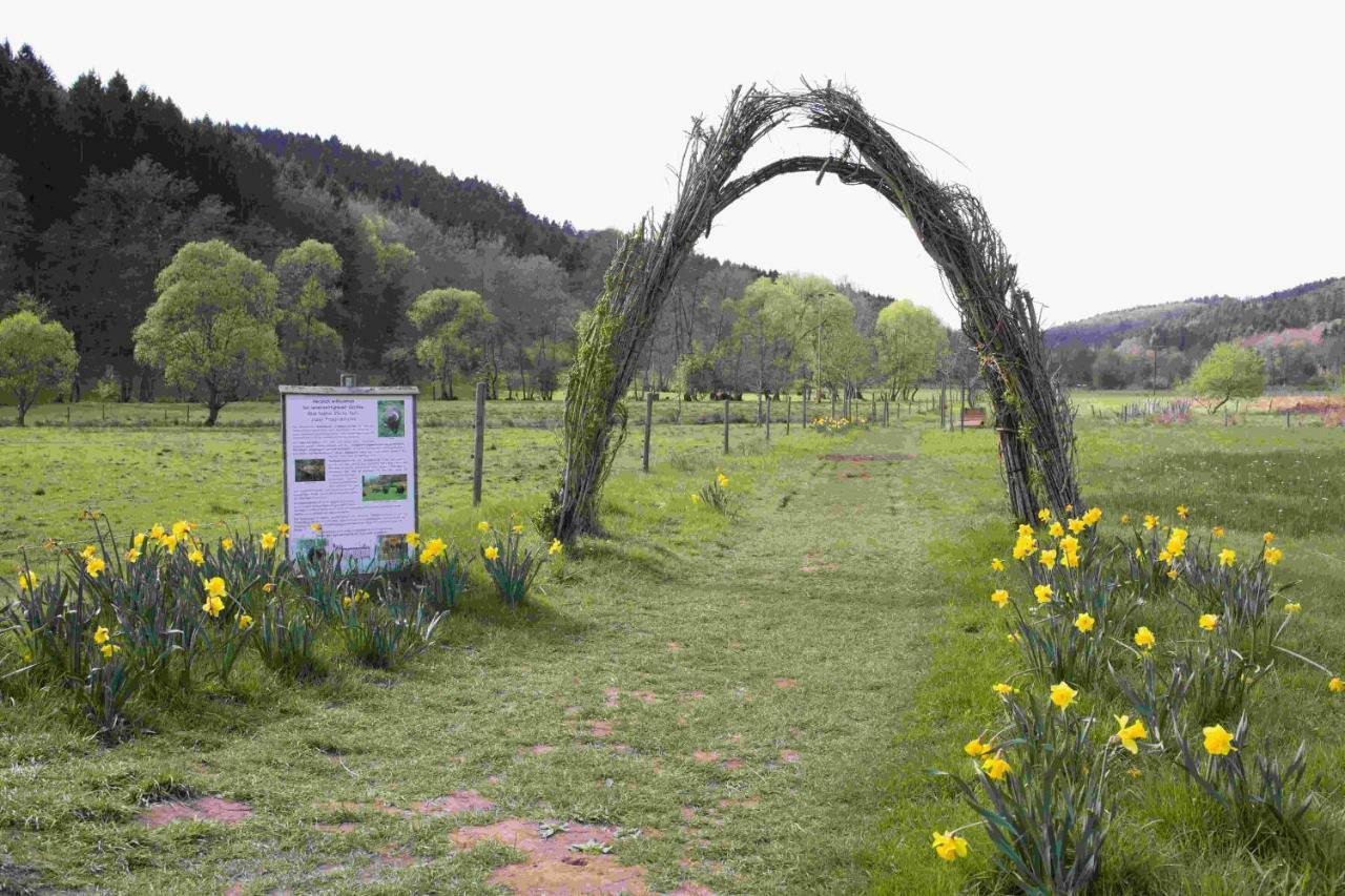 Ferienhaus Salmtal Himmerod Großlittgen Екстериор снимка