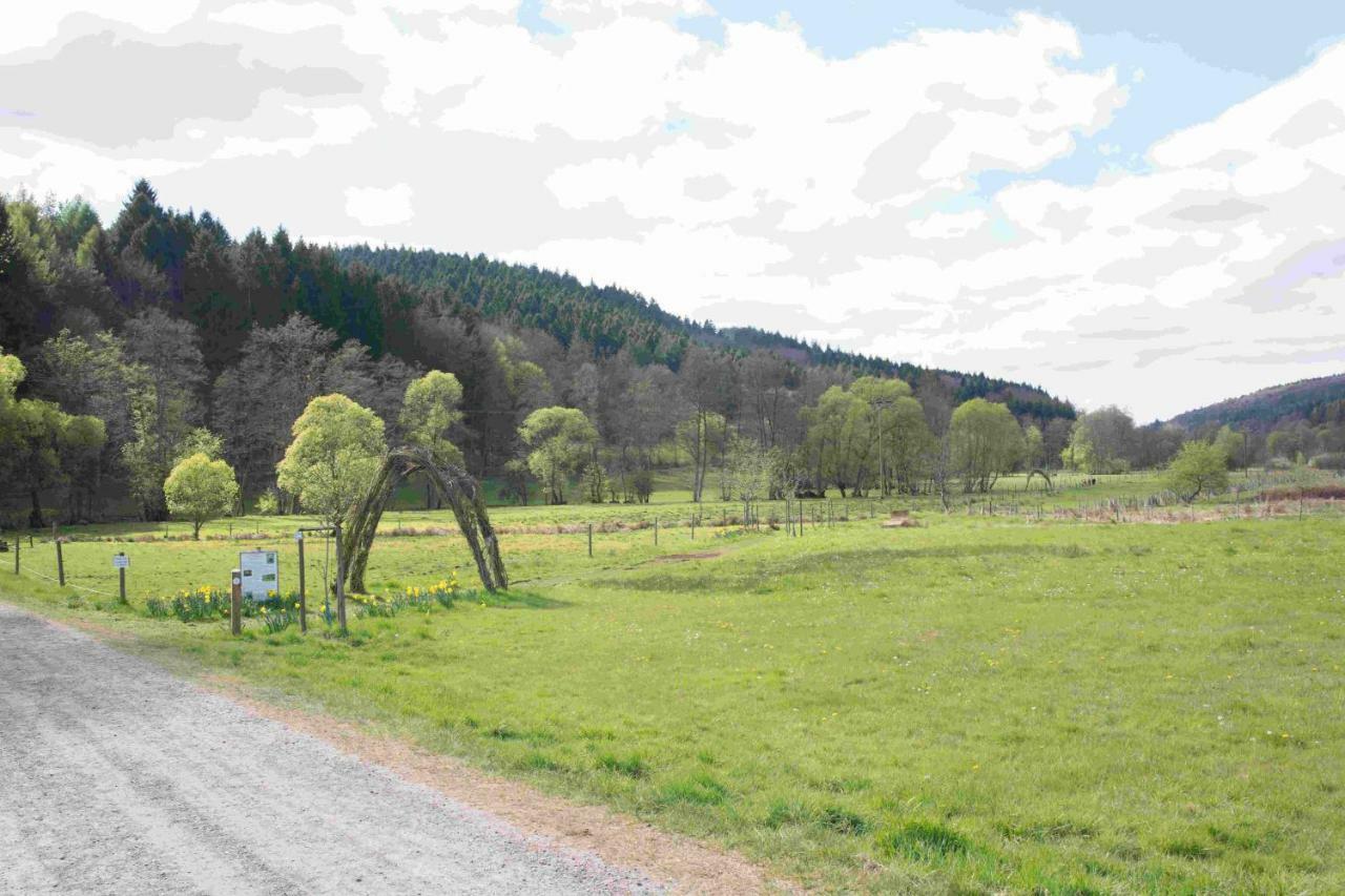 Ferienhaus Salmtal Himmerod Großlittgen Екстериор снимка